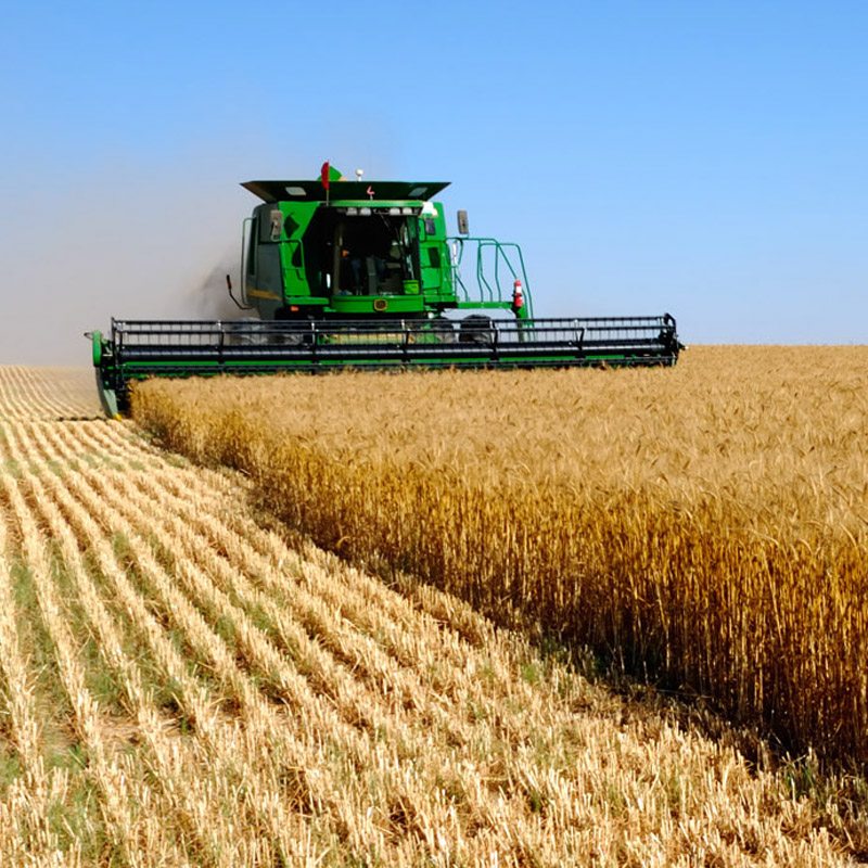 Agriculture featured image