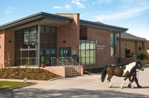 University of Liverpool Equine Centre featured image