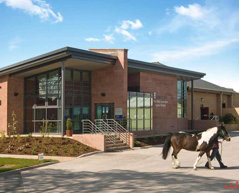 University of Liverpool Equine Centre slide image