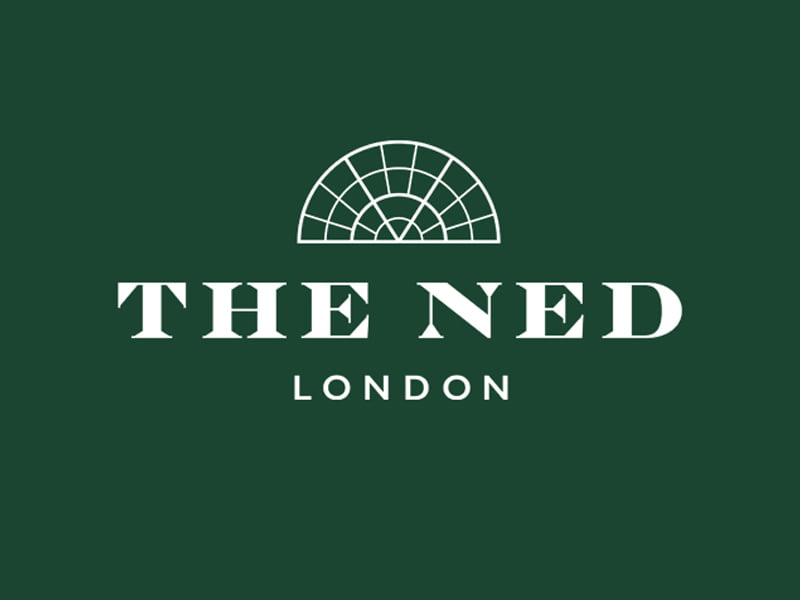 The NED logo