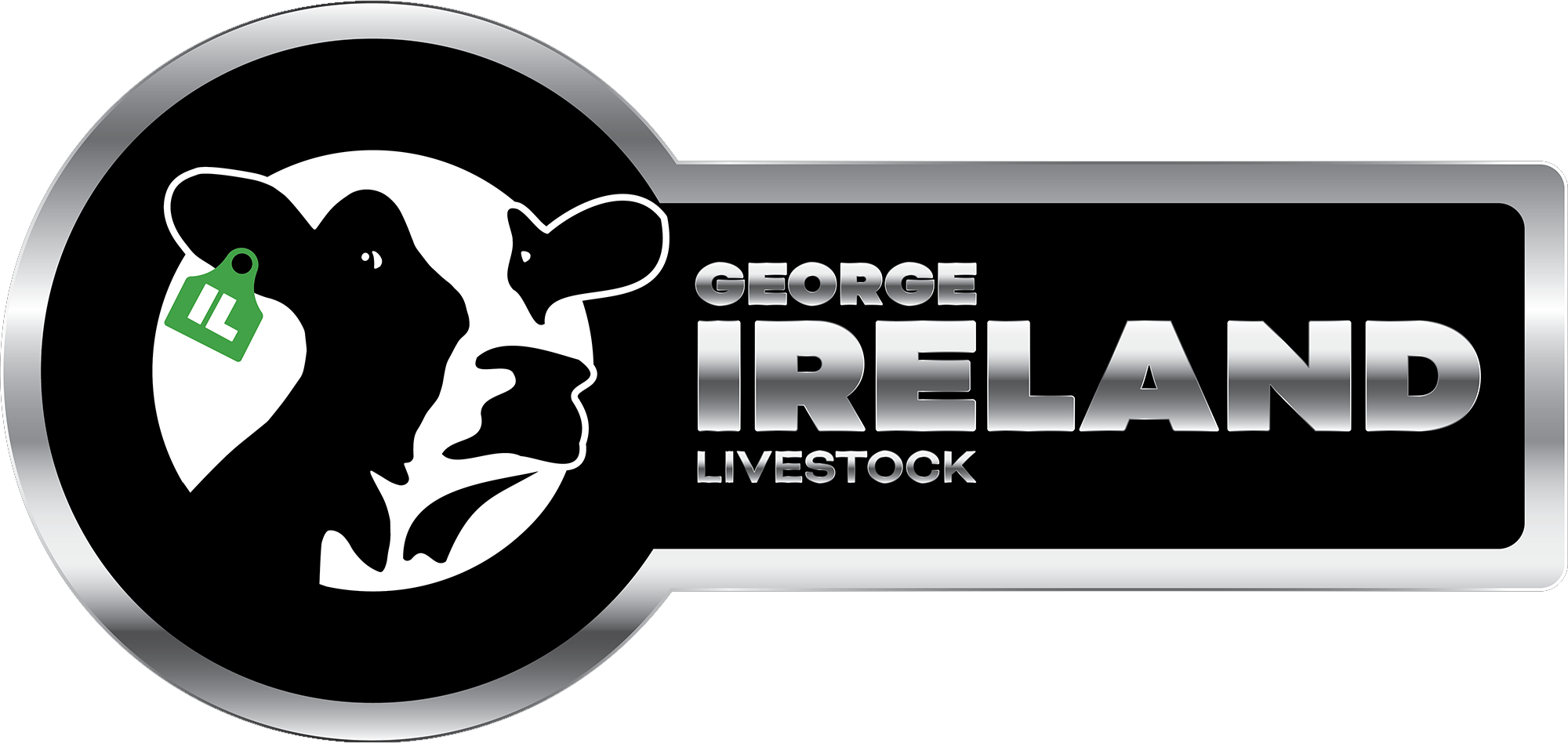 IDARO George Ireland Case Study Logo