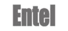 Entel logo