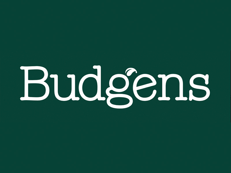Budgens logo